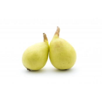 Pera Ercolini