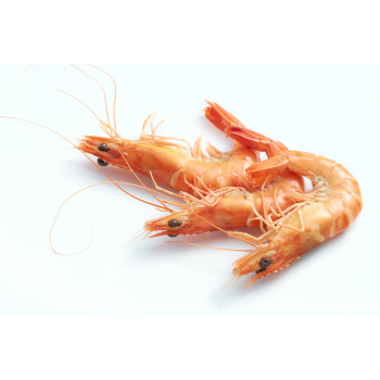 Langostino Cocido 20/30...