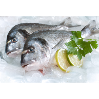 Dorada aprox 750 gr