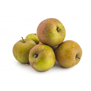 Manzana Reineta