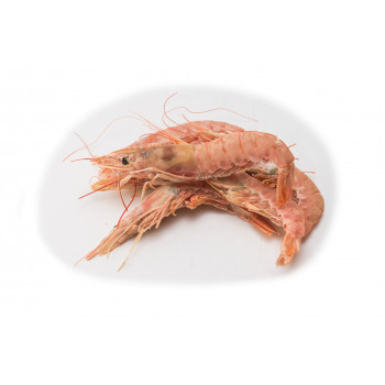 Gamba Langostinera 30/40...