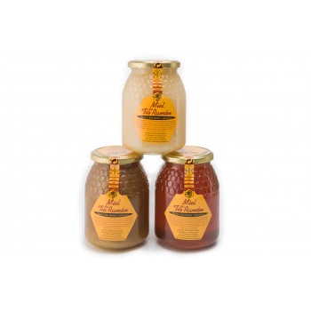 Miel de Eucalipto 1 kg