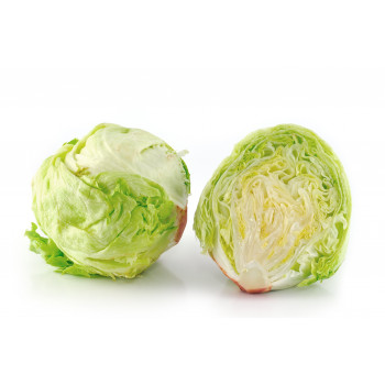 Lechuga Iceberg