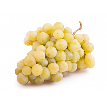 Uva Moscatel