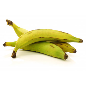 Plátano Macho Verde