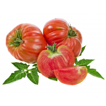 Tomate Rosa