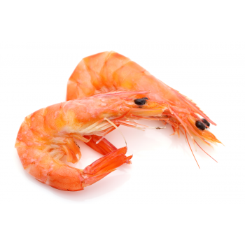Langostino Cocido